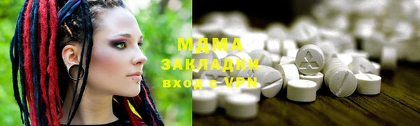 гашик Алексин