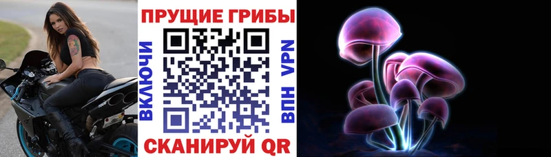 KRAKEN tor  Фрязино  Псилоцибиновые грибы MAGIC MUSHROOMS  как найти  
