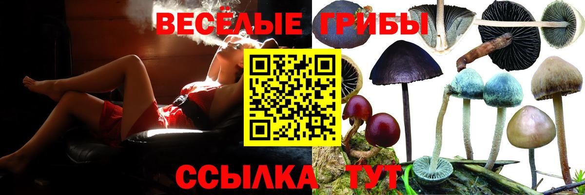Галлюциногенные грибы мицелий Фрязино